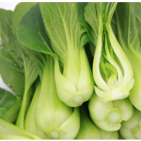 松霖甄选 油菜约350g