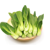 松霖甄选 油菜约1000g