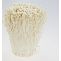 松霖甄选 金针菇约400g