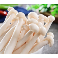 松霖甄选 海鲜菇400-500g