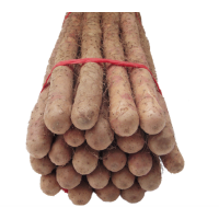 松霖甄选 铁棍山药225--2500g