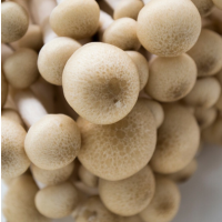 松霖甄选 蟹味菇约125g