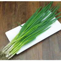 松霖甄选 小葱200-250g