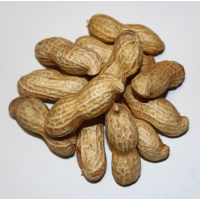 松霖甄选 鲜花生约500g