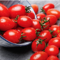 松霖甄选 红圣女果约450g