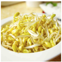 松霖甄选 黄豆芽约250g