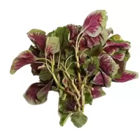 松霖甄选 苋菜300-350g
