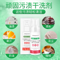 顽固污渍干洗剂150ml