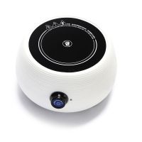 文轩堂电陶炉茶炉家用静音迷你电陶茶炉铁壶煮茶器不挑壶电陶茶炉I1|白色电陶炉[单电陶炉]