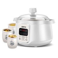 隔水电炖锅炖盅全自动预约保温锅家用陶瓷炖锅V5|2.5L电炖锅