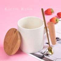 马克杯北欧风格咖啡杯情侣款式女带盖勺办公室家居茶杯陶瓷水杯|木柄白带盖勺