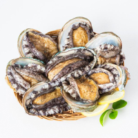 鲜活 鲍鱼 15-18头 500g