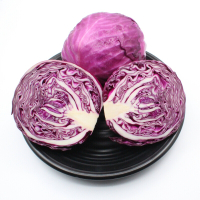 紫包菜700-800g