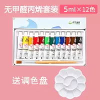青竹颜料套装盒装24色儿童手绘彩绘涂鸦画石头鞋子防水不色 12色5ml（送调色盘）