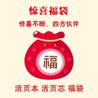 [文具]神秘福袋精品手账简约文具笔记本学生用品送朋友 活页本活页芯福袋