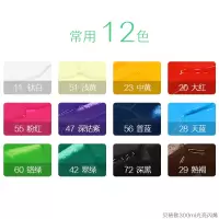 法国300ml颜料套装流体画光亮手绘diy防水墙绘涂鸦 常用12色. 300ML/瓶
