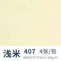 法国色粉纸8k蜜丹纸素描彩色画纸专业油画棒纸160g无砂粉画纸 407浅米