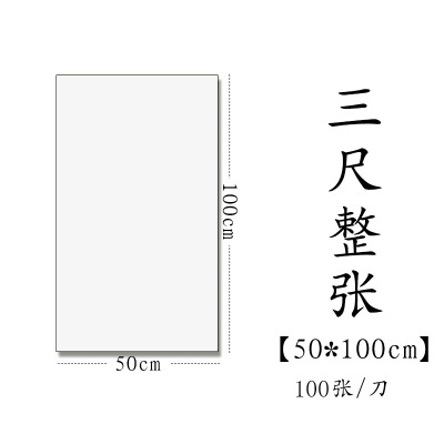 半生半熟初学者书法专用练习宣纸100张四尺六尺对 三尺整张(50*100cm100张) 生宣(适合草书、行书、国画写意)