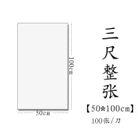 半生半熟初学者书法专用练习宣纸100张四尺六尺 三尺整张(50*100cm100张) 熟宣(适合工笔画、小楷、硬笔书法)