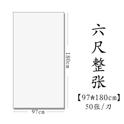 半生半熟初学者书法专用练习宣纸100张四尺六尺对开 六尺整张(97*180cm50张) 生宣(适合草书、行书、国画写意)