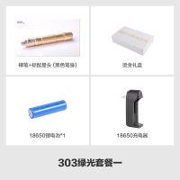售楼部激光灯方格激光手电绿光指星沙盘教学会议指示笔远射红外线 绿光金杆 配5个激光头一电一充礼盒装