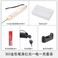 303激光灯售楼部红外线激光手电教学笔驾校指引红光绿光教鞭笔 绿光金杆一电一充送满天星头