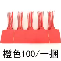 物流挂签塑料吊牌挂牌价签一次性标牌扎带快运尼龙悬挂捆绑一体式 红色