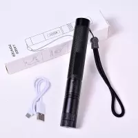 激光手电绿光usb充电激光灯强光远射售楼沙盘指示笔驾校镭射灯笔 [绿激光+usb充电线]送满天星