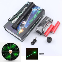充电303激光手电筒绿光激光灯教鞭笔镭射灯绿外线工程沙盘售楼笔 绿光一电二充（1头6图）盒装
