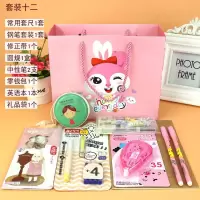 中学生初中生文具套装4-6年级日常学习常用文具用品礼品奖品套装 套装十二女款