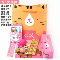 小学生幼儿园文具套装礼盒大礼包1-3年级小清新文具学习用品 A3女孩随机色