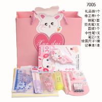 学生文具套装/礼盒高年级初中小学日常学习用品六一文具套装礼品 7005女孩