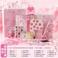 文具套装学习用品初中生中学生学礼包高中网红礼盒简约少女心 樱花礼盒基础款套装