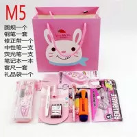 开学奖品创意文具套装礼盒小学生大礼包学习用品中学生 M-5女款