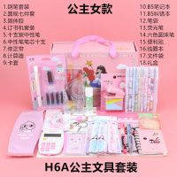高年级学生组合学习文具礼盒套装笔记本笔钢笔套装生日大礼包 H6A公主女款计算机款