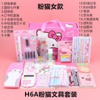 高年级学生组合学习文具礼盒套装笔记本笔钢笔套装生日大礼包 H6A粉猫女款计算机款