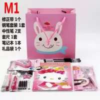 小学生儿童文具套装 中学生学习用品初中生礼品奖品生日 M-1女孩