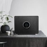 家有品保险箱 家用 防唛保险柜家用小型30cm指纹密码箱衣柜隐形入墙办公防盗全钢床头柜保管箱 指纹款黑色