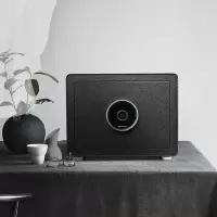 家有品保险箱 家用 防唛保险柜家用小型30cm指纹密码箱衣柜隐形入墙办公防盗全钢床头柜保管箱 指纹款黑色