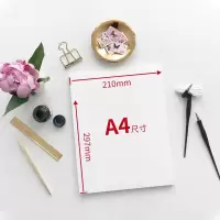 a4纸打印复印纸70g单包50张办公用品a4白纸稿纸免邮学生用 小包100张【不带包装】