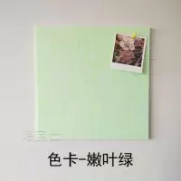 定制毛毡板幼儿园作品彩色毛毡展示板软木板照片墙留言板公告栏 浅绿色 均码