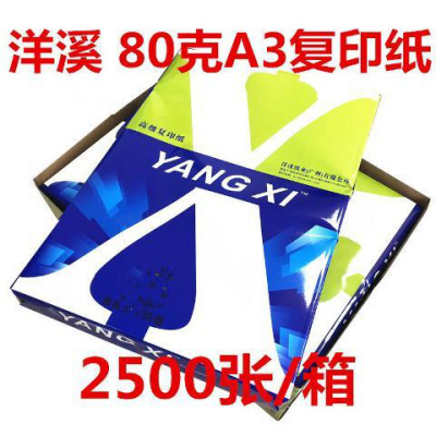 a3打印复印纸70克 新绿a3 500张 海龙亚太80克 办公用纸 洋溪牌80克A35包[只发广东]