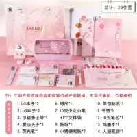 文具套装礼盒韩国少女心创意学习用品精美大礼包初中高中学生 樱花礼袋版4