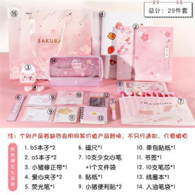 文具套装礼盒韩国少女心创意学习用品精美大礼包初中高中学生 樱花礼袋版4