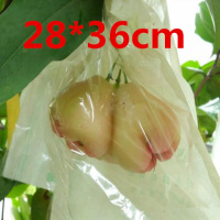 侧半透明水蓊莲雾套袋专用袋洋蒲桃纸袋天桃水果果袋保护袋防水 28*36一面纸一面塑料