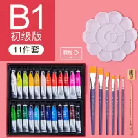 颜料套装20ml防水涂鸦纺织颜料初学者画鞋子无毒手绘 B1初级版24色10件套装 20ml套装