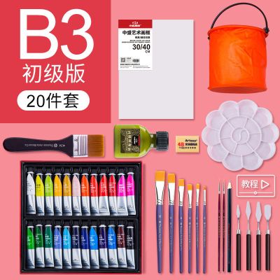 颜料套装20ml防水涂鸦纺织颜料初学者画鞋子无毒手绘 B3初级版24色20件套装 20ml套装
