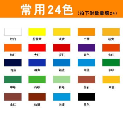 大瓶装300ml颜料墙绘专用墙画彩绘染料防水手工涂鸦 常用24色(拍下数量选择24)