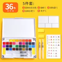 固体水彩颜料36色48画画套装初学者珠光色粉儿童绘画工具美术用品 学生/36色薄荷蓝