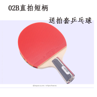 银河乒乓球拍01b01d成品拍入门级单拍双面反胶儿童学生乒乓拍|1支2D直拍短柄送拍套1个三星乒乓球